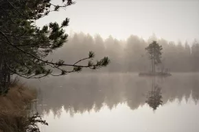 Pihtilampi pond