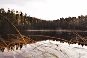 Misty Pihtilampi pond