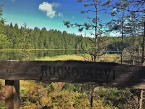 Lamminsuo bog pond