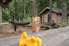Särkijärvi lean-to and a chantarelle mushroom