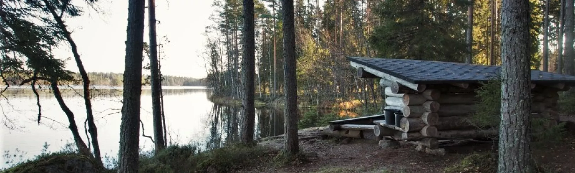 Elamon laavu syksyllä