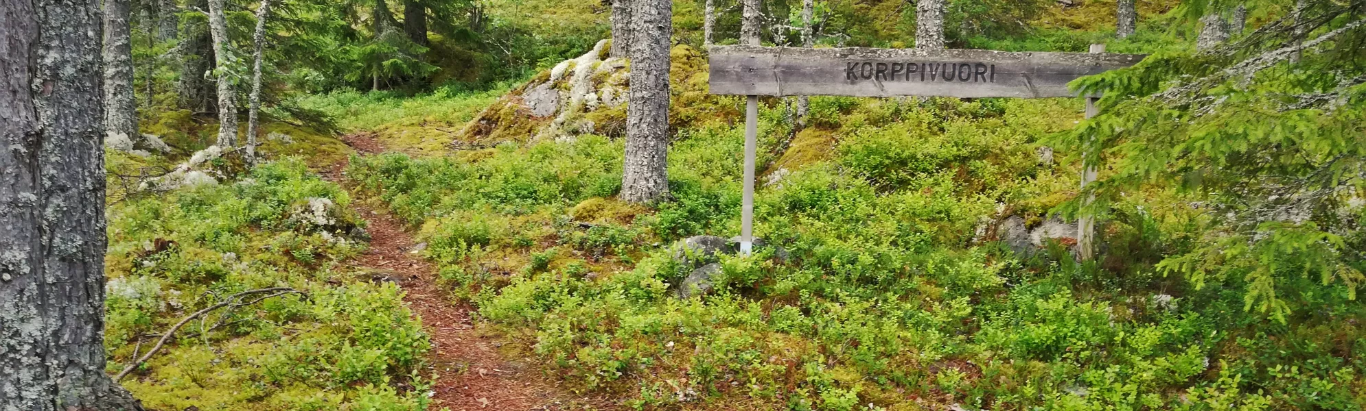 Korppivuori hill