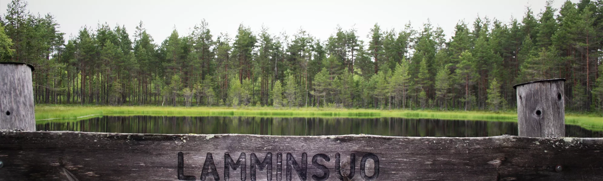Lamminsuo