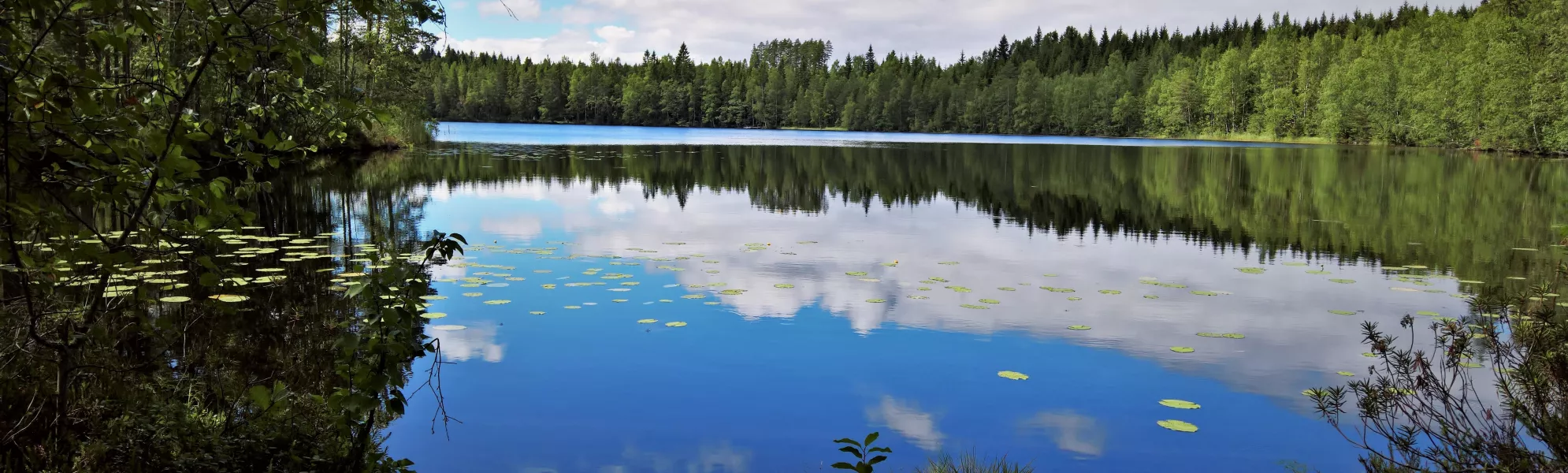Pihtilampi pond in the summer