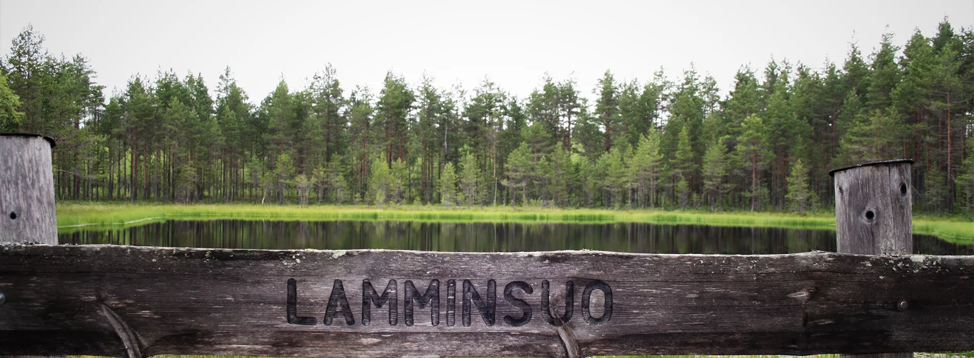 Lamminsuo pond